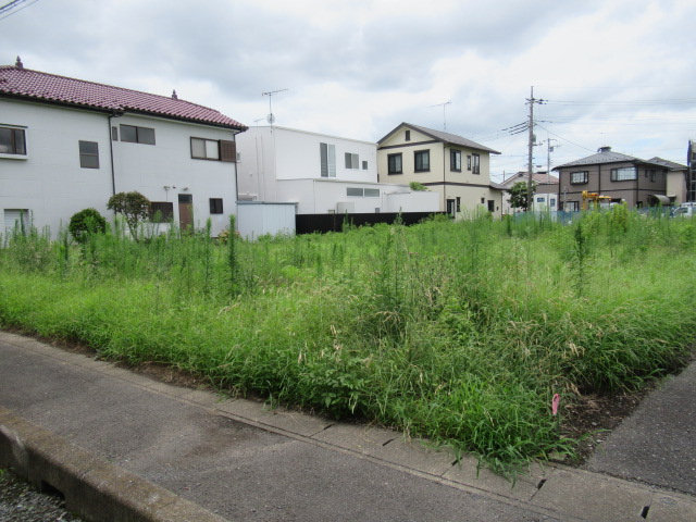 1096画像