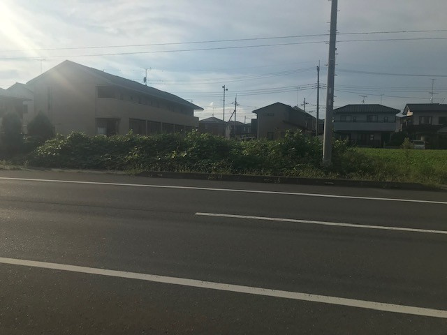 1146画像