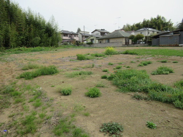 801画像