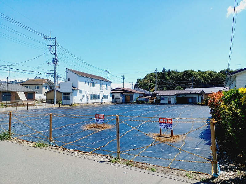 823画像